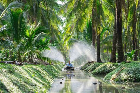  Maneuvering the Monsoon: A Journey Through Sustainable Farming in Thailand!